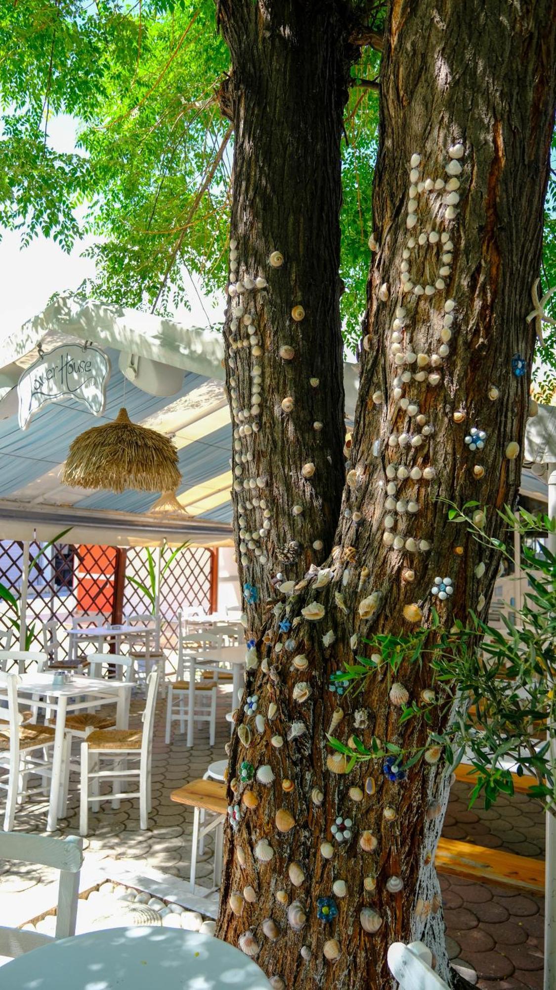 Cocoon Hotel-Beach Bar Sarti Exterior foto